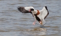 Bergeend landing.02